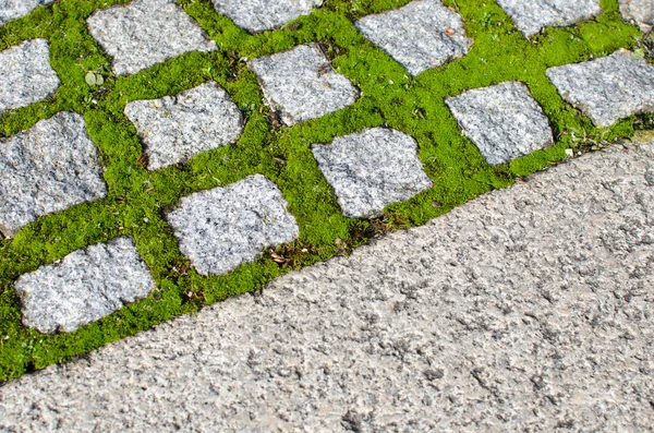 Cobblestones and moss — Stock Photo, Image