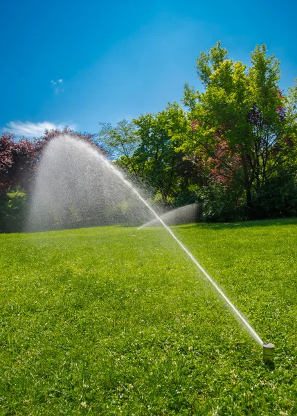 Irrigatie van het park gazon — Stockfoto