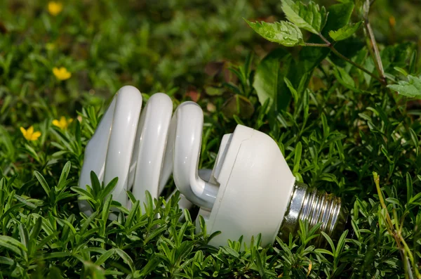 Lampe à économie d'énergie dans l'herbe — Photo