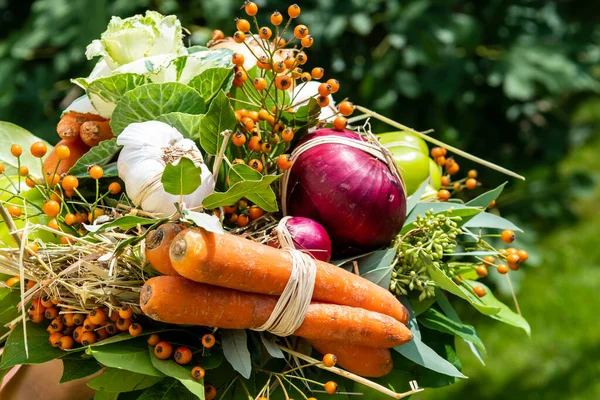 Bunch Freshly Harvested Assorted Vegetable — Stock Photo, Image