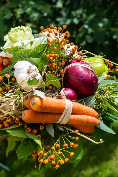 Bunch Freshly Harvested Assorted Vegetable — Stock Photo, Image