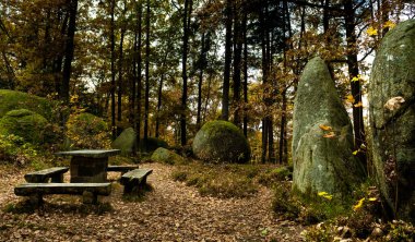 Avusturya 'daki Waldviertel' de Granit Kaya oluşumları ile Doğa Parkının Gizemli Manzarası