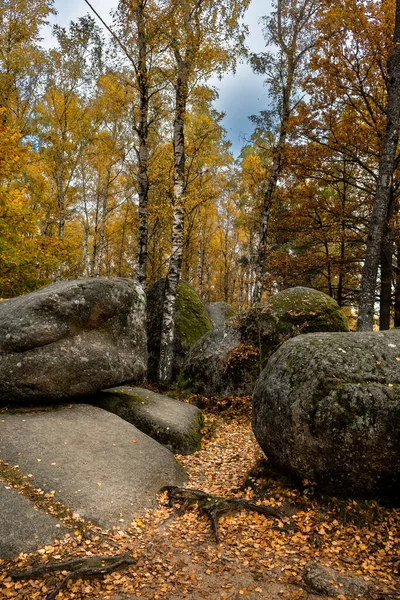 Mystische Landschaft Des Naturparks Blockheide Mit Granitfelsen Waldviertel — Stockfoto