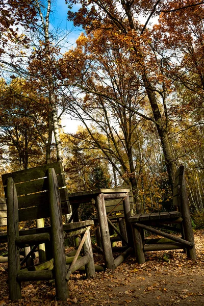 Giant Table Huge Chairs Autumnal Forest — Stock Photo, Image