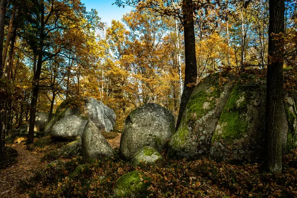 Mystic Landscape Nature Park Blockheide Granite Rock Formations Waldviertel Austria — Stock fotografie