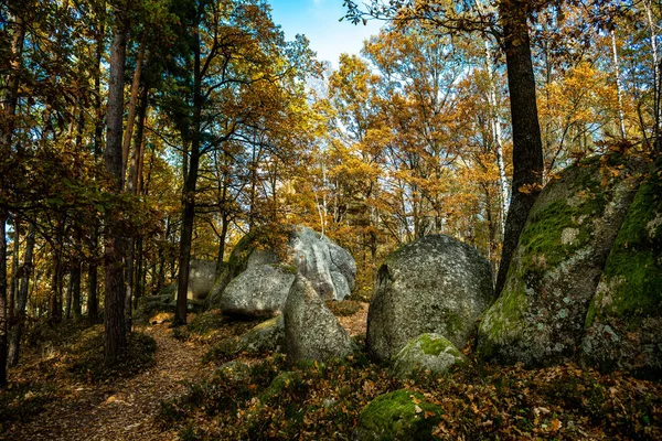 Mystic Landscape Nature Park Blockheide Granite Rock Formations Waldviertel Austria — Stock fotografie