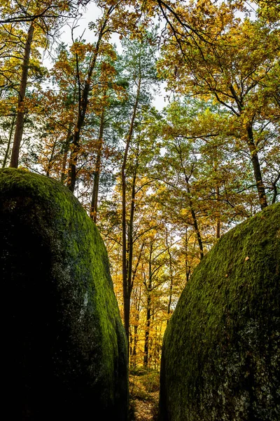 Mystic Landscape Nature Park Blockheide Granite Rock Formations Waldviertel Austria — стокове фото
