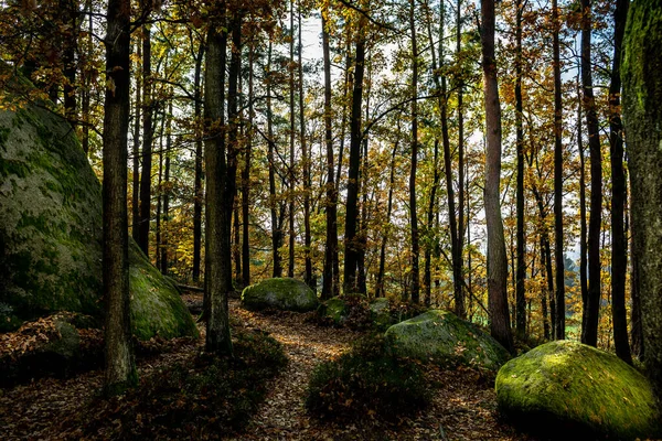 Mystic Landscape Nature Park Blockheide Granite Rock Formations Waldviertel Austria — Stock Photo, Image