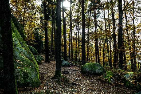 Mistyczny Krajobraz Parku Przyrody Blockheide Formacjami Granitowymi Waldviertel Austrii — Zdjęcie stockowe