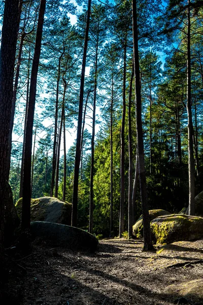 オーストリアのWaldviertelで花崗岩の岩の形成を持つ自然公園ブロックハイドの神秘的な風景 — ストック写真