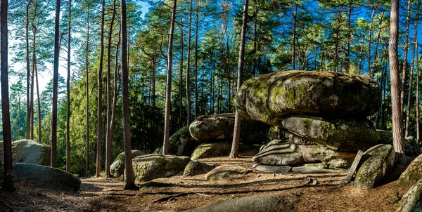 Paisagem Mística Parque Natural Blockheide Com Formações Rocha Granito Waldviertel — Fotografia de Stock