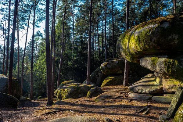 Paisagem Mística Parque Natural Blockheide Com Formações Rocha Granito Waldviertel — Fotografia de Stock