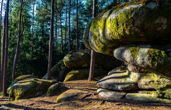 Paisagem Mística Parque Natural Blockheide Com Formações Rocha Granito Waldviertel — Fotografia de Stock