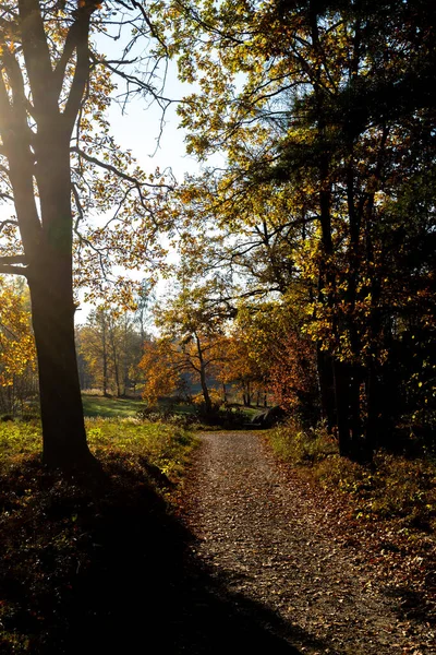 Narrow Hiking Path Autumnal Landscape Austria — Stock Photo, Image