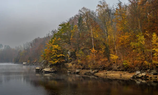 Foggy Landscape Calm Lake Autumnal Forest Lake Ottenstein Austria — Stock Photo, Image