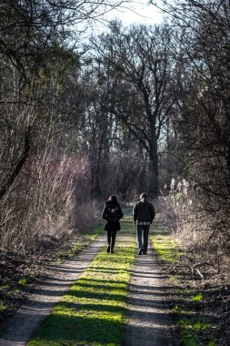Ormanda Dar Yol 'da Birlikte Yürüyen Genç Çift