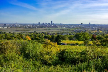 Viyana şehir silueti Yeşil Tepeler ve üzüm bağlarıyla