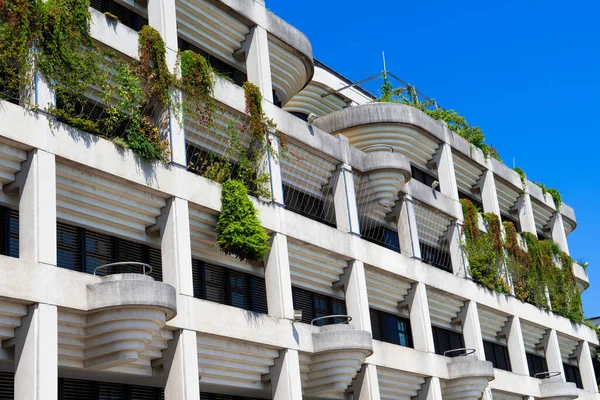 Plants Produce Shadow On Facade Of Modern Office Building