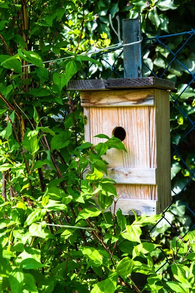 Nesting Box For Shelter And Protection Of Small Birds In A Green Hedge Of A Garden