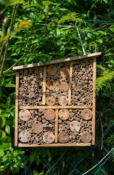 Insect Hotel With Many Occupied Holes In Garden Gives Protection And Nesting Aid To Bees And Other Insects