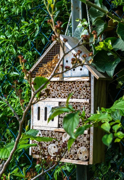 Insect Hotel With Many Occupied Holes In Garden Gives Protection And Nesting Aid To Bees And Other Insects