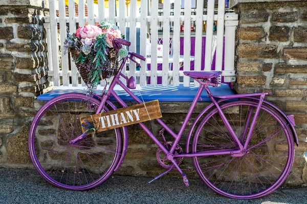 Old Vintage Bicycle Painted Purple Flower Basket Decoration Front White — стоковое фото