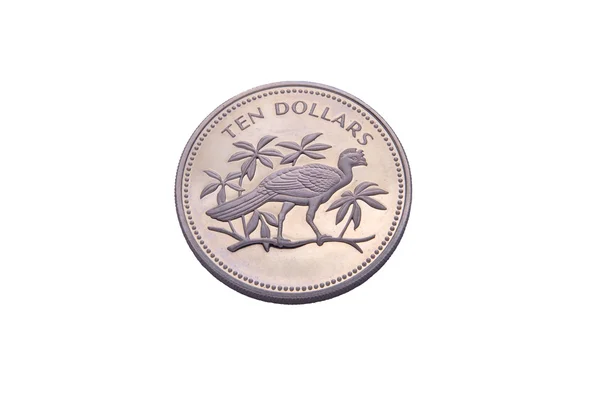 Silver coin from Belize — Stock Photo, Image