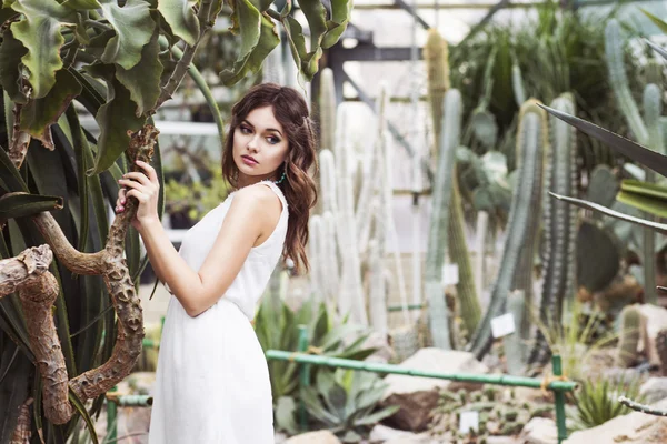 Krásná bruneta žena v bílých šatech a smyslné pozice kaktusové zahradě. Kopírovat prostor — Stockfoto