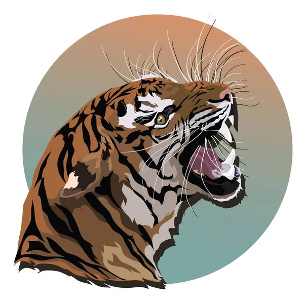 Тигр Цветная Векторная Иллюстрация — стоковый вектор