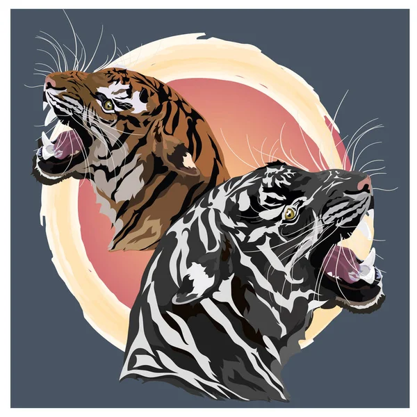 Deux Tigres Amour Arrière Plan Soleil — Image vectorielle