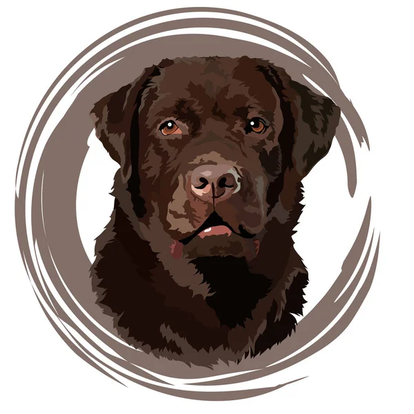 Brązowy Projekt Portretu Labradora Retrievera Ilustracja Wektora — Wektor stockowy