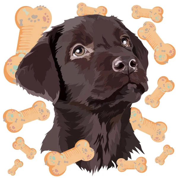 Шоколадный Щенок Лабрадор Фоне Игрушек Собак Портрет Собаки Векторная Иллюстрация Векторная Графика