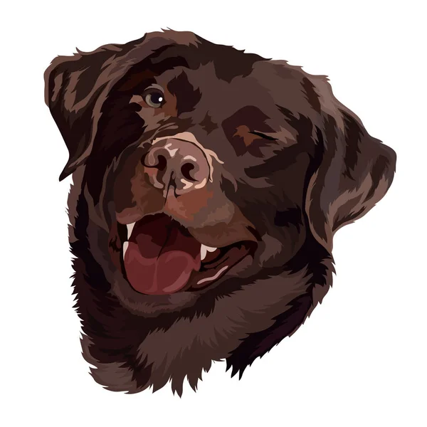 Brown Labrador Smiles Winks Vector Illustration — Archivo Imágenes Vectoriales