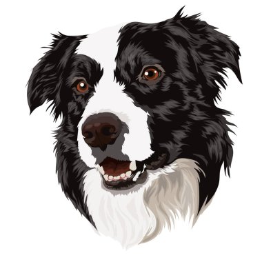 Bir çoban köpeğinin şirin portresi. Vektör illüstrasyonu.