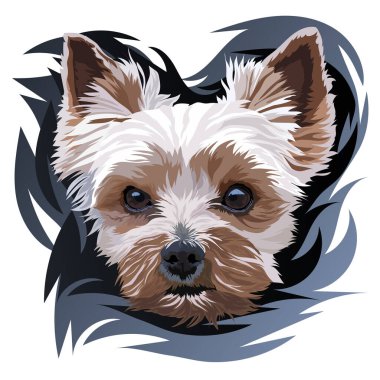 Breed Yorkshire Teriyeri. Karanlık bir arka planda bir köpeğin portresi. Vektör illüstrasyonu