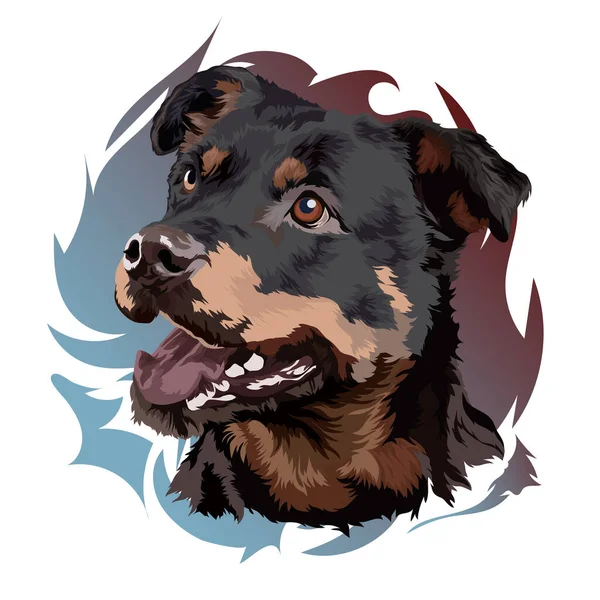 Tête Chien Rottweiler Illustration Vectorielle Portrait Sur Fond Coloré — Image vectorielle