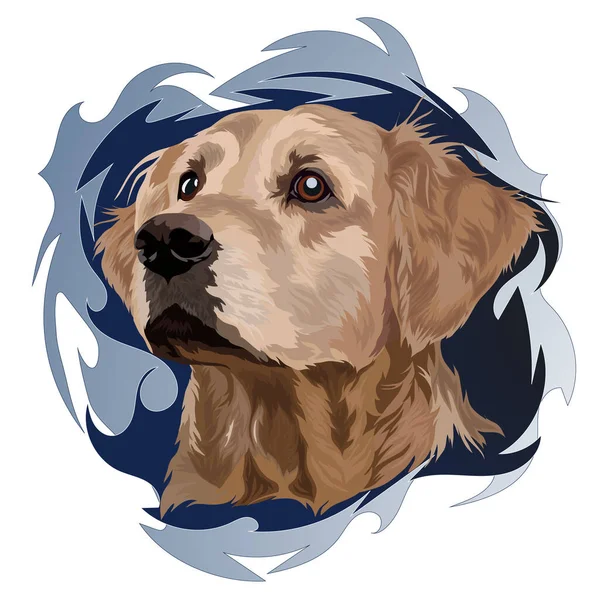 Köpek Cins Altın Labrador Retriever Mavi Arka Planda Portre Vektör — Stok Vektör
