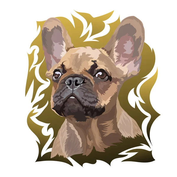 Bouledogue Français Illustration Vectorielle Portrait Sur Fond Coloré — Image vectorielle