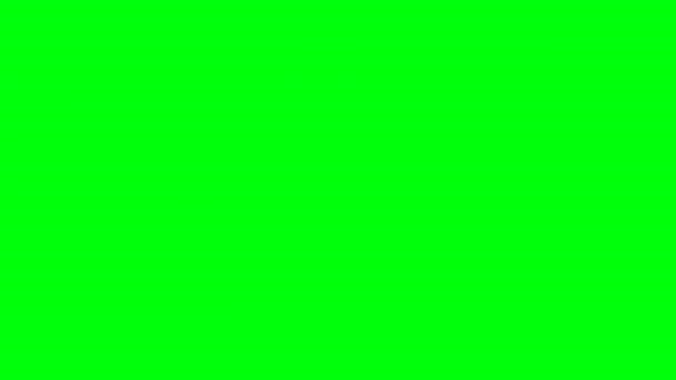 Intro - Register Now. Green screen. Pop-up text screen saver with text Register Now. For blogs, online lessons, webinars, training videos and other. — Vídeo de Stock