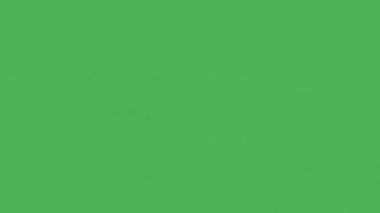 Yeşil arka planda VHS çizgileri. VHS kusurları, gürültü ve eserler, eski VHS kasetindeki arızalar. TV gürültüsü ve eski ekran paraziti ile video sinyali hasarı.