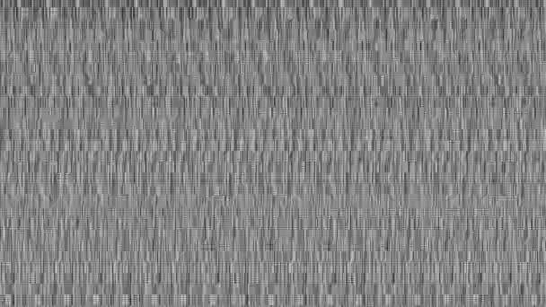 Black White Digital Glitch Damage Video Signal Pixel Noise Stroboscopic — Vídeo de stock