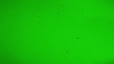 Demage Chromakey. Effect of an old TV with interference, distortion, glitches and flicker on green screen. Ideal for overlay. Glitch.