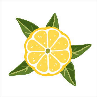 Beyaz arka planda yapraklı limon dilimi. Vektör illüstrasyonu