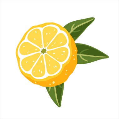 Beyaz arka planda yaprakları olan limonlu yarısı. Vektör illüstrasyonu