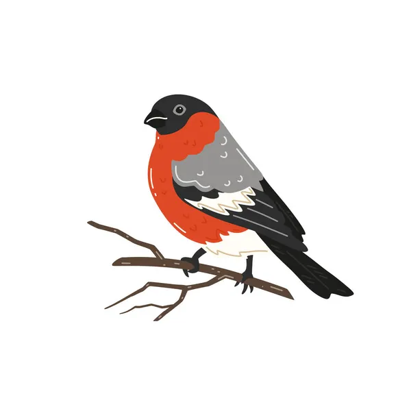 Bullfinch Sitting Tree Branch Vector Illustration — Stock Vector