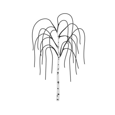 Beyaz arka planda yaprakları olmayan huş ağacı. Vektör illüstrasyonu