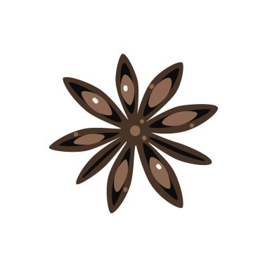 Beyaz arka planda yıldız anasonu ya da Badian. Vektör düz çizim oranı