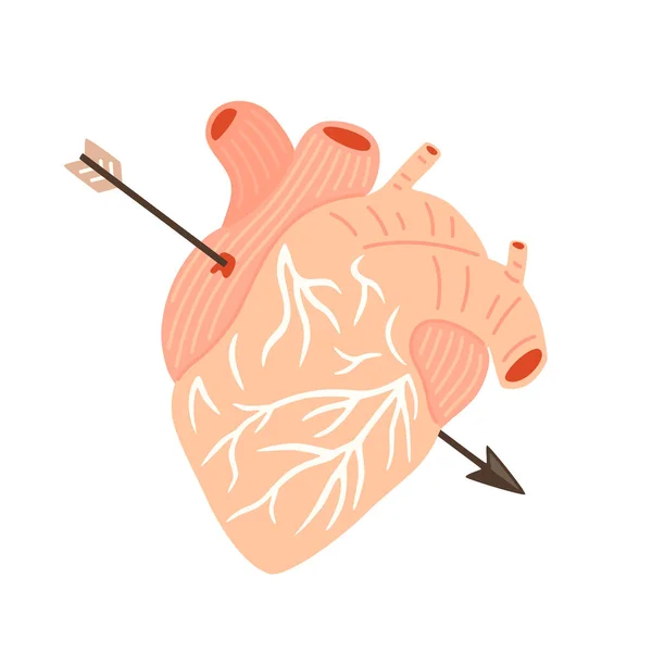 Coração Humano Com Flecha Cupido Ilustração Plana Vetorial — Vetor de Stock