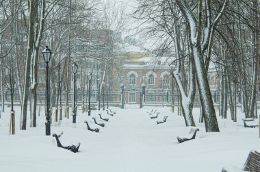    - Rusya. Kronstadt 'ta. Kışın Yaz Bahçesi.   