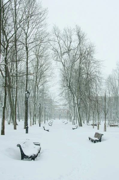 Rússia Kronstadt Jardim Verão Inverno — Fotografia de Stock